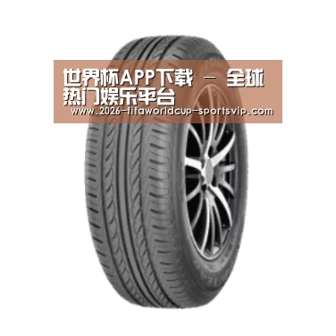 世界杯APP下载产品名称六