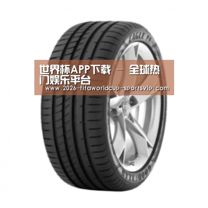 世界杯APP下载产品名称二
