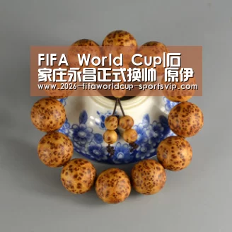  FIFA World Cup