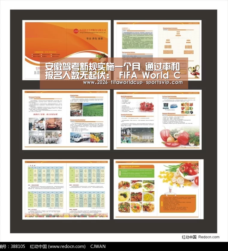 安徽驾考新规实施一个月 通过率和报名人数无起伏: FIFA World Cup(图4) 世界杯足球直播